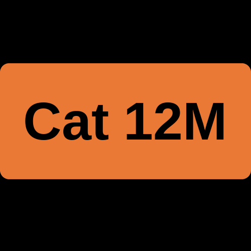 Cat 12M